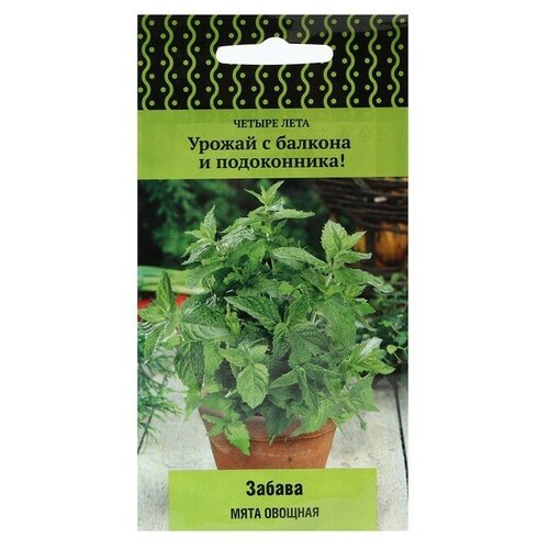 ������ ������ ������ ���� ������� 