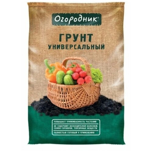 ������ ������ ����� ����� ��������� ������������� 22� ����