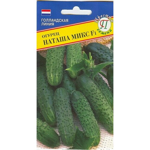 ������ ������ ������ ������ ���� F1. ������ �������������� ������. ������� ��������������, ��������, ������� ���������. ����� 80 ��. ������������ ���� ����