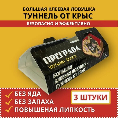 ������ ������ ������� ������� �� ����, �������� ������� 3 �� ����