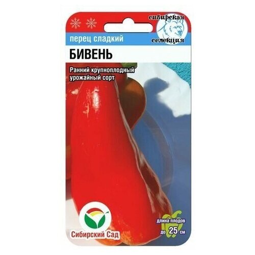 ������ ������ ����� ������� ������ 15�� ����� ��������� ��� ����