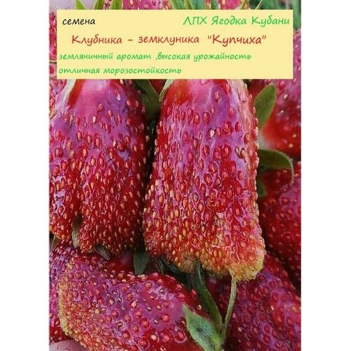 ������ ������ ��������-���������� 