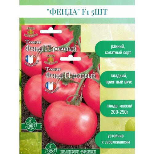 ������ ������ ������ ������ ����� F1 5��* ����