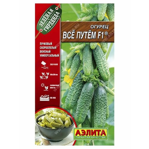 ������ ������ ������. ������ 