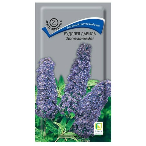 ������ ������ ������� ������ ���������-������� ����