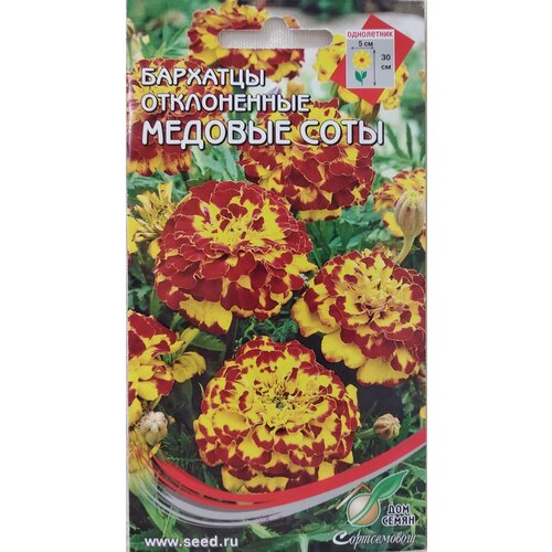 ������ ������ �������� (������� �����������) ������� ����, 80 ����� ����