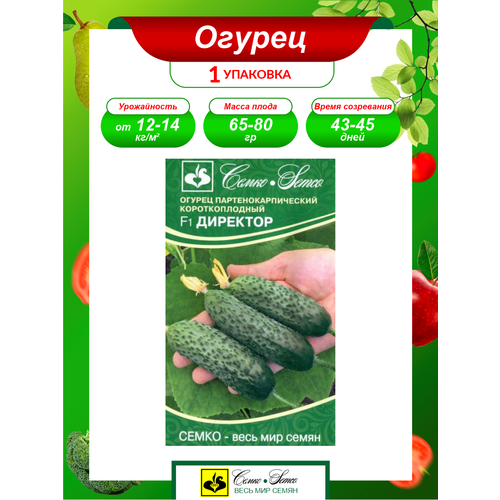 ������ ������ ������ ������ �������� F1 ����������� 5 ��./����. ����