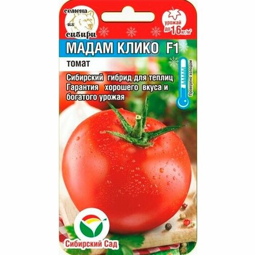 ������ ������ ����� - ����� ����� F1 ����