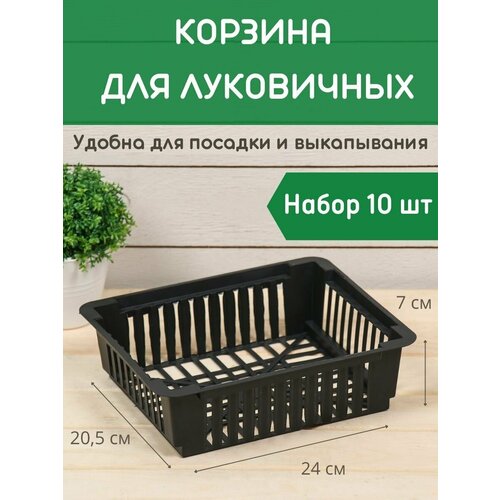 ������ ������ ������� ��� ���������� ������������� ����� 10 �� ����