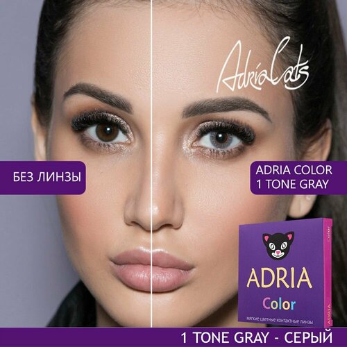 ������ ������ ���������� ����� ADRIA Color 1 tone, 2 ��., R 8,6, D -7, gray, 1 ��. ����