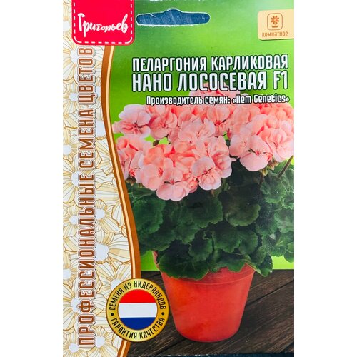 ������ ������ ������ ���������� ���������� 