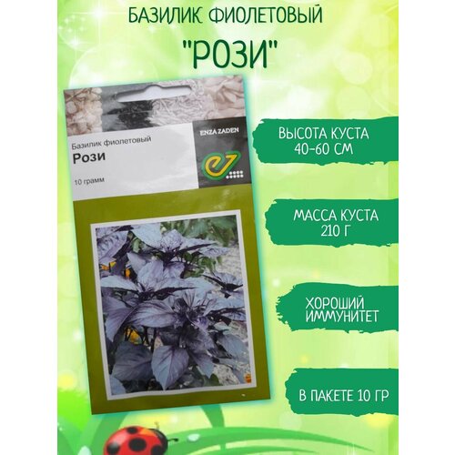 ������ ������ ������ ������� ���������� ���� 10 �. ���������� �������� ����