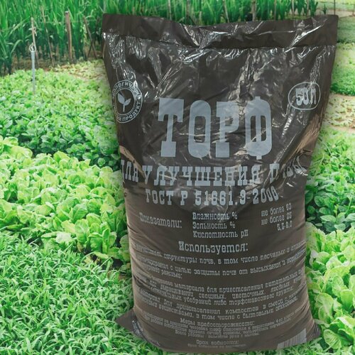 ������ ������ ���� / �������� ��� ��������� ����� 50� ����