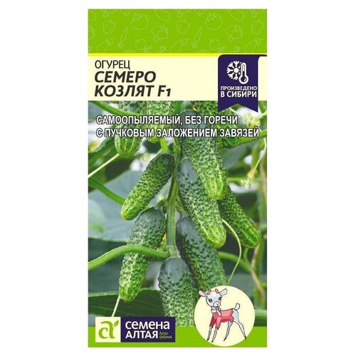 ������ ������ ������ ������ ����� ������ ������ ������, F1, 6 �� ����