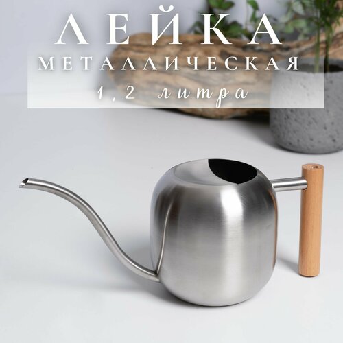 ������ ������ ����� ��� ������ ������������� 1,2 ����� ����