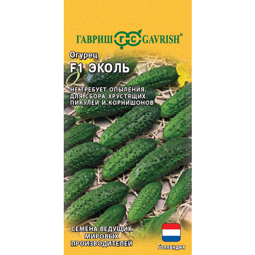 ������ ������ ������ ������ ����� F1 5�� ������������������ (������) ����