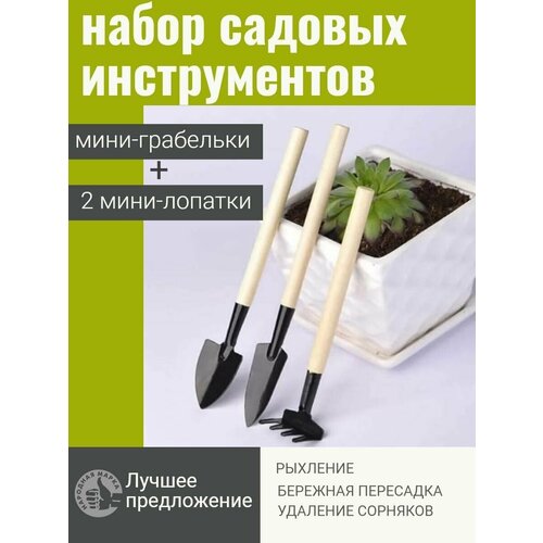 ������ ������ ����� ������� ������������ ����