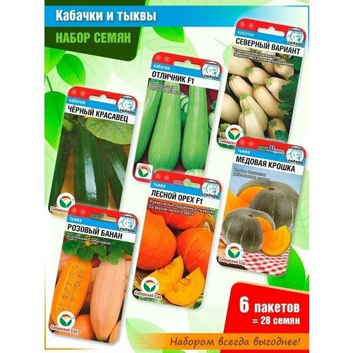 ������ ������ ����� ����� �������� � ����� ����� �� ���������� ���� (6 �����) ����