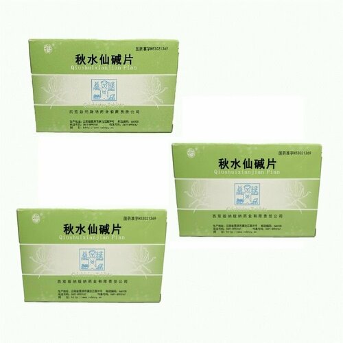 ������ ������ �������� �� ������� 