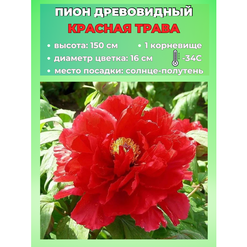 ������ ������ ���� ����������� ������� �����, ������� 1 ����� ����