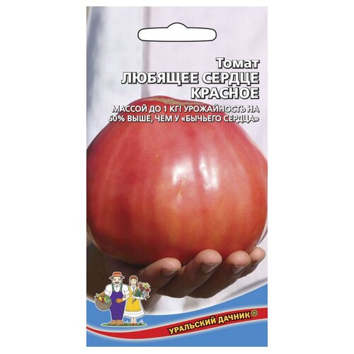 ������ ������ ������ ��������� ������ ����� ������� ������ ������� ����