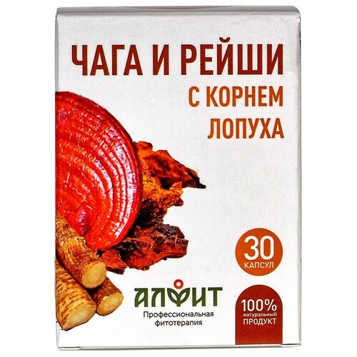 ������ ������ ���������� ����� ���� � ����� � ������ ������ ����., 12 �, 30 ��. ����