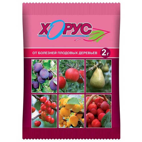 ������ ������ ���� ��������� �������� ��� ������ �������� �� �������� �����, 2 � ����