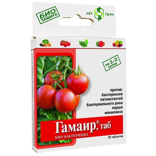 ������ ������ ����������������� ���-���������� ������ ���, 20 ��. � 24 �� � 24 � ����