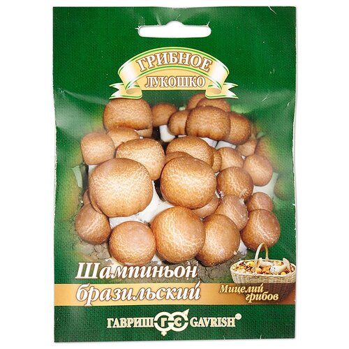 ������ ������ ������� ������ ������ ��������� ����������� �� �������� ��������� 15 �� ����