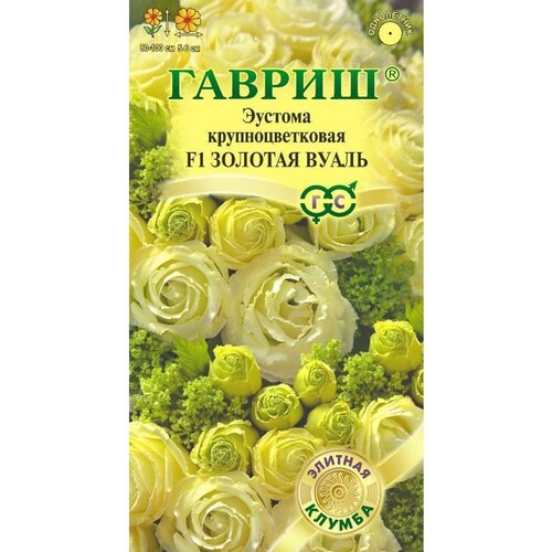 ������ ������ ������. ������� ��������������� 