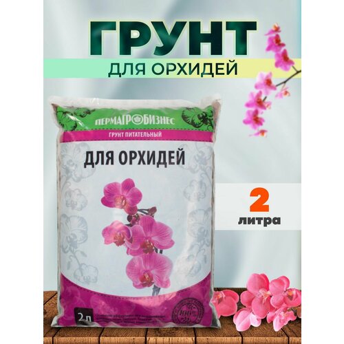 ������ ������ ����� ��� ������� 2� ����