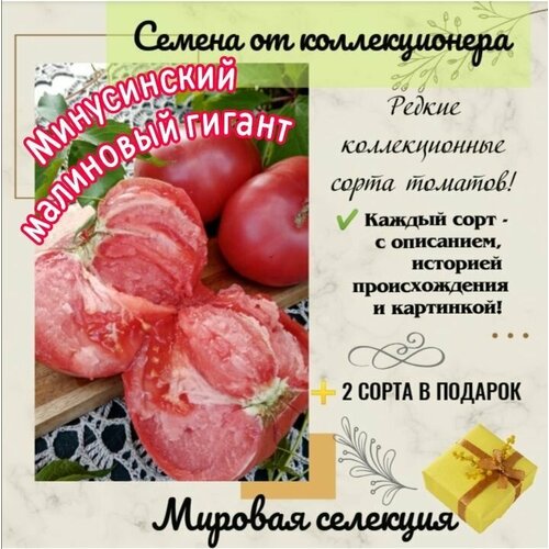 ������ ������ ����� 