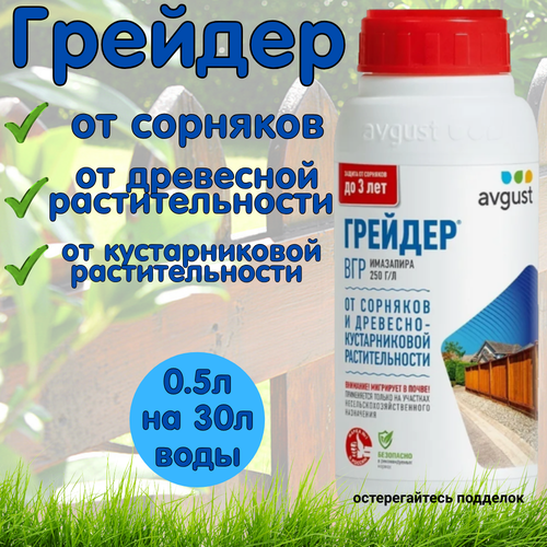 ������ ������ �������� �� �������� Avgust ������� 6�� 500 �� ������ �������� �� �������� ��������� �������� ����