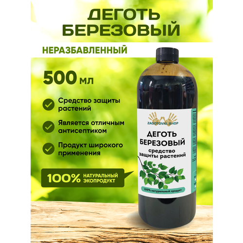 ������ ������ ������ ���������. ������ �� ��������� 500 �� ����