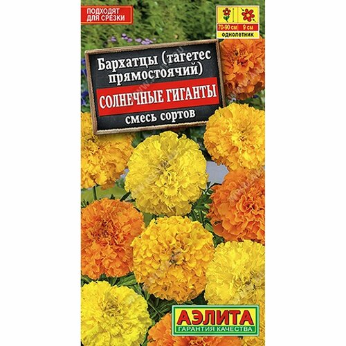 ������ ������ ������ �������� ��������� ������� ����, ����� ������, ����������, (������) 0,1� ����