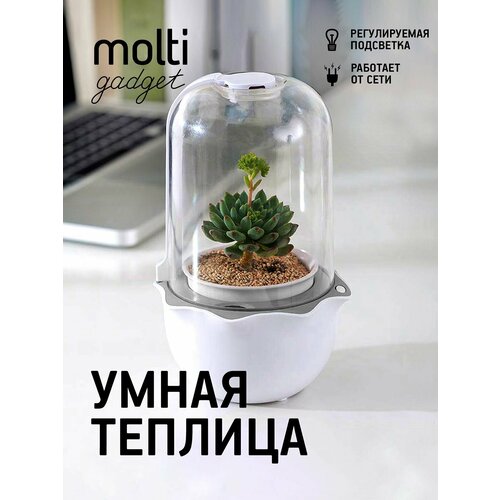 ������ ������ ����� �������, ��� ���� � �����, ��� ������ ���������, ���������� ����������, �����, ������� �� ����� ��� �������, ���������� ������� ����