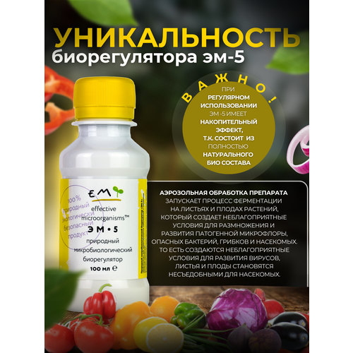 ������ ������ ������ �������� �� ���������� � ��������, ������������� ��������� ��-5 ����