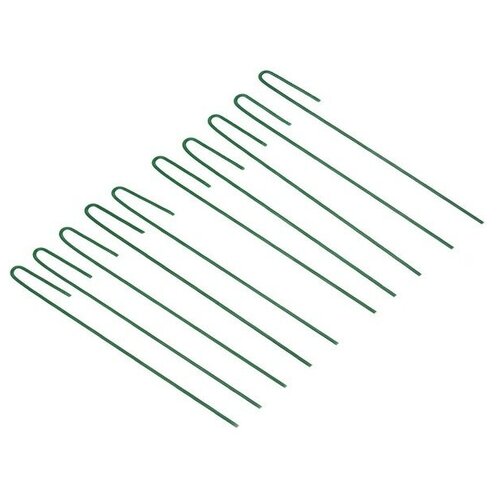 ������ ������ Greengo 4191905, 30 ��, 10 ��. 10 30 �� 300 �� 30 �� 0.3 �� ������� 0.03 �� ����