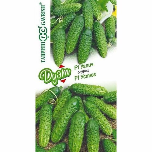 ������ ������ ������ ������ ���� ����� F1 + ����� F1 (������������������) (������) 20�� �17 ����