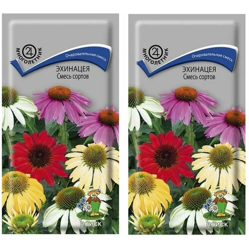 ������ ������ �������� ����� ������ (0,1 �), 2 ������ ����