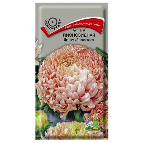 ������ ������ ����� ����������� ����� ����������� ����