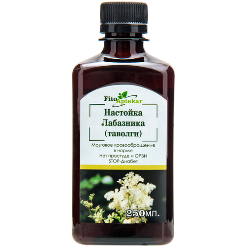 ������ ������ �������� ���������, 250�� ����