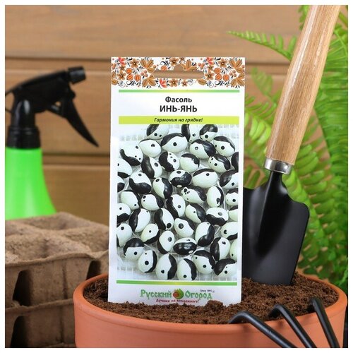 ������ ������ ������ ������ �������� 