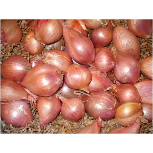 ������ ������ ���-����� ������� / ������ 14/35 / ����� 0,5�� / ������ ����