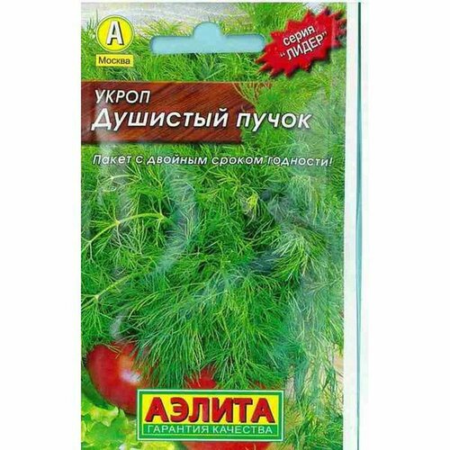 ������ ������ ������ ����� �������� �����, ������������, (������) 2� ����