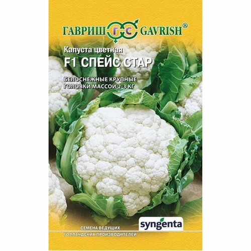 ������ ������ ������ ������� ������� ����� ���� F1, ������������, (������) 10�� ����