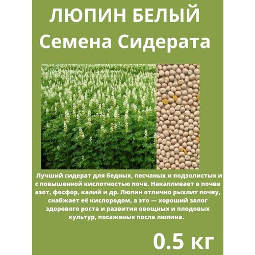 ������ ������ ������ �������� ����� ����� 0.5 �� ����