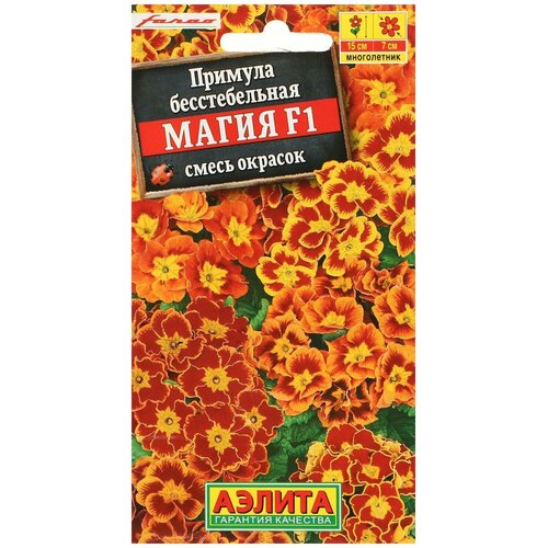 ������ ������ ������ ������ ������� ����� F1, ����� �������, 7�� ����