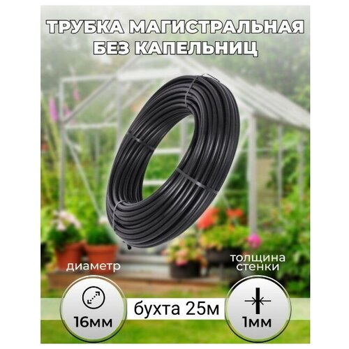 ������ ������ ������ ������������� 16 �� - 25 � ����� ������ (��� ���������) ����