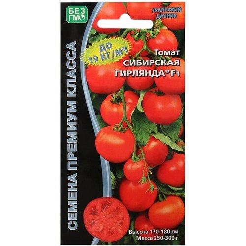 ������ ������ ������ ����� 